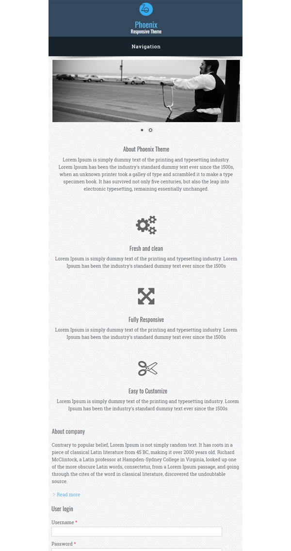 Phoenix Responsive Theme Phoenix Responsive Theme