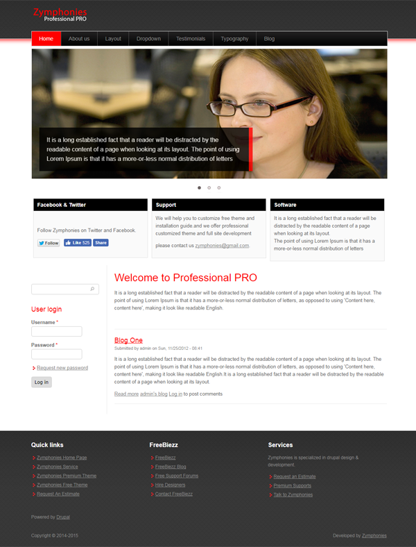 Professional Pro Theme