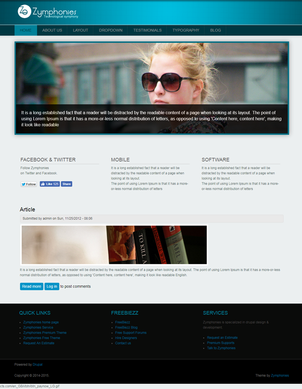 Professional Responsive Theme